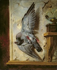 Woodpigeon, n. 1857